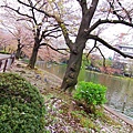 2007_0424_193703.jpg