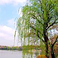 2007_0424_193705.jpg