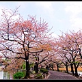 2007_0424_193709.jpg