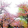 2007_0424_193711.jpg