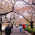 2007_0424_193714.jpg