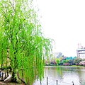 2007_0424_193718.jpg