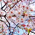 2007_0424_193720.jpg