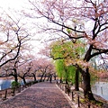 2007_0424_193724.jpg