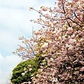 2007_0424_194432.jpg