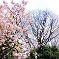 2007_0424_194434.jpg
