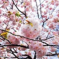 2007_0424_194436.jpg
