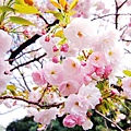 2007_0424_194438.jpg
