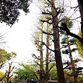 2007_0424_194505.jpg