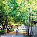 Y02.jpg