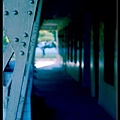 Y04.jpg