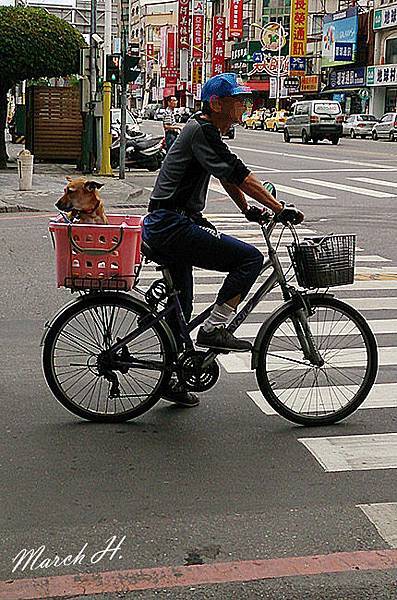 街頭小景