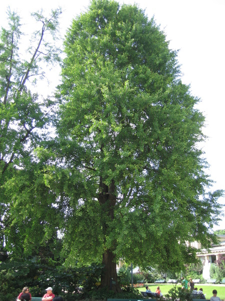 IMG_6934.JPG