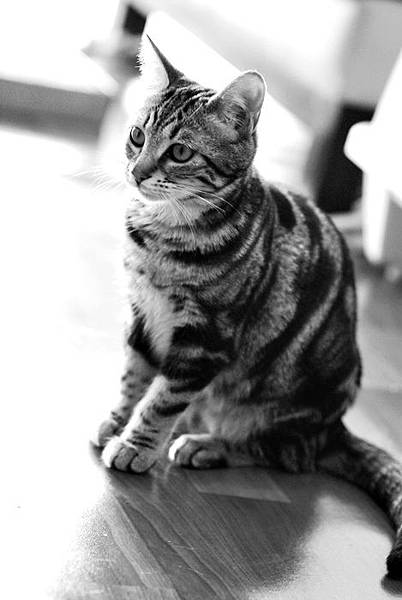 DSC_0116 DSC_0116