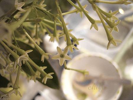 memory_2.jpg memory_2.jpg