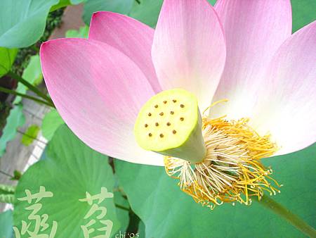 DSC02008.jpg DSC02008.jpg