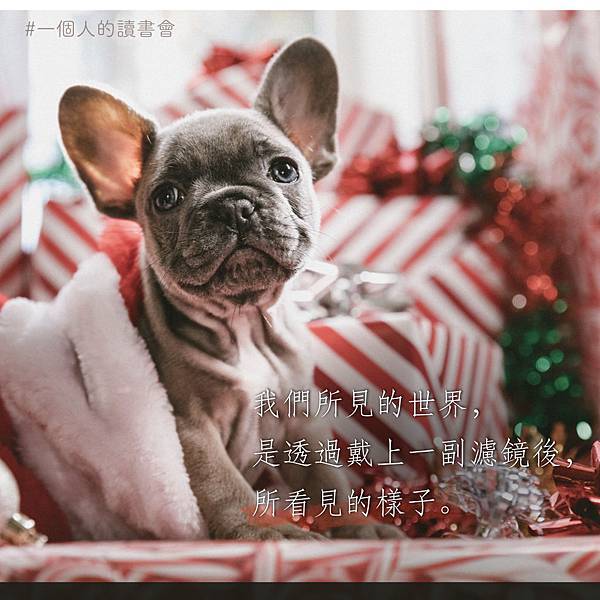 20181225_我們所見的世界.jpeg 20181225_我們所見的世界.jpeg