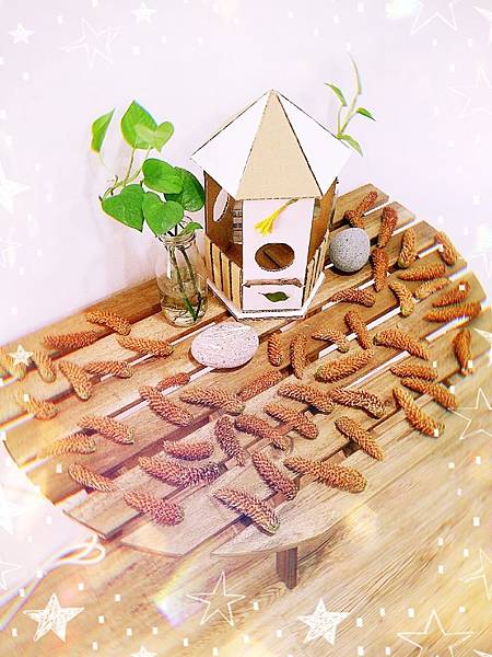 IMG20190429202221_mh1556554920639.jpg IMG20190429202221_mh1556554920639.jpg