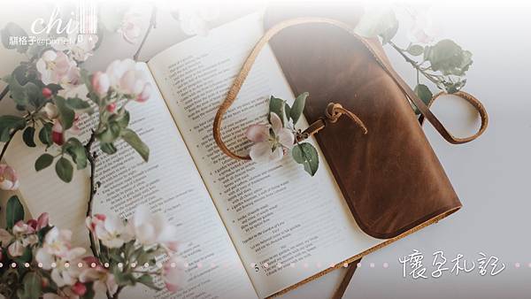 懷孕札記封面圖.jpeg 懷孕札記封面圖.jpeg