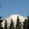 美麗的富士山