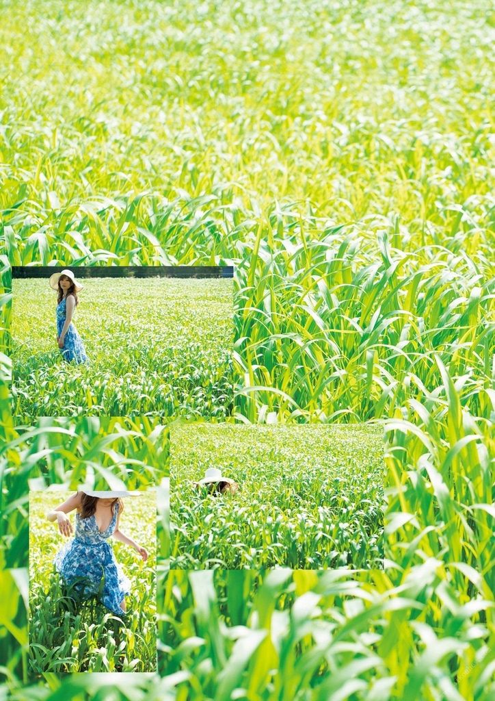 Aoi 葵, 写真集「Hollyhock」