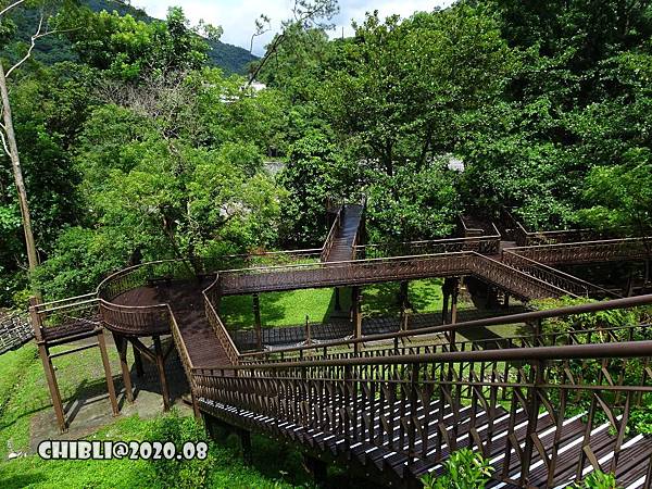 2020 遊 台東 知本森林遊樂區 夏日來山上避暑 森林步道健行 認識昆蟲植物 吸收芬多精 飛來飛去的紅蜻蜓 痞客邦