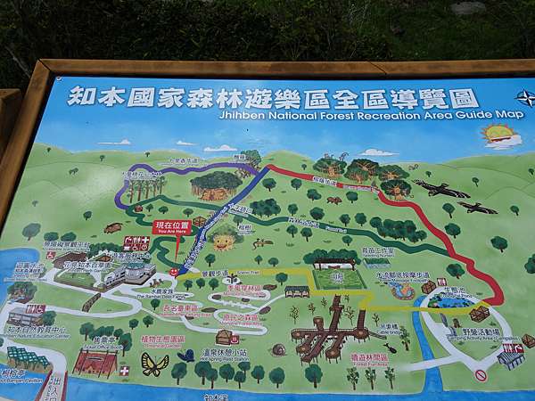 2020 遊 台東 知本森林遊樂區 夏日來山上避暑 森林步道健行 認識昆蟲植物 吸收芬多精 飛來飛去的紅蜻蜓 痞客邦