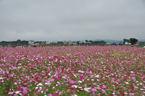 DSC_0183.JPG