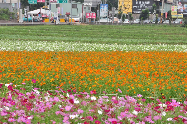 DSC_0263.JPG