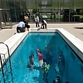 金澤21世紀美術館-Swimming Pool  103.jpg