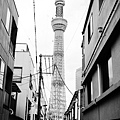 TOKYO SKY TREE (9).jpg