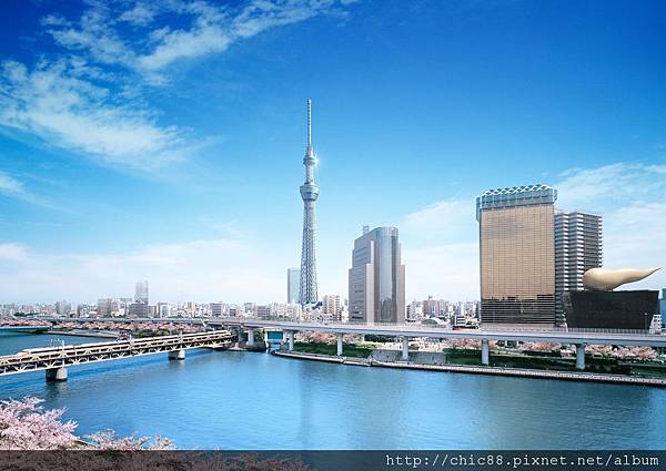 TOKYO SKY TREE.jpg