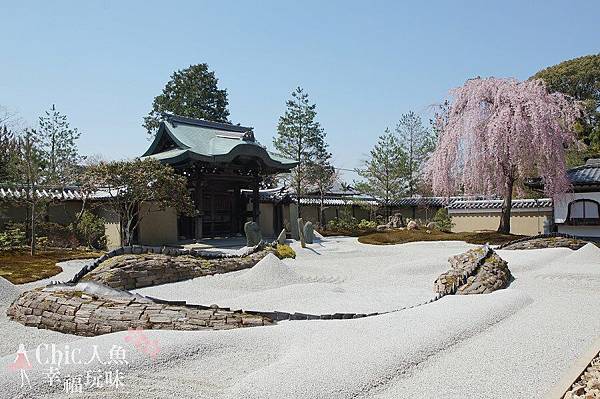 京都-高台寺花見 (19)