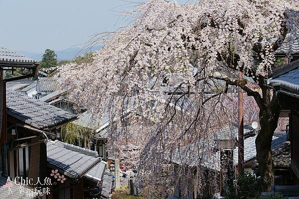 京都-二年板 (8)