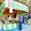 京都八板神社 (5)