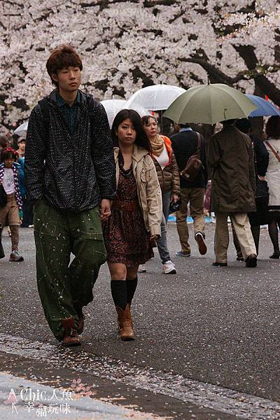 上野公園-櫻花雨 (38)