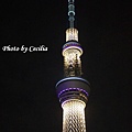 TOKYO SKY TREE 夜  (6)