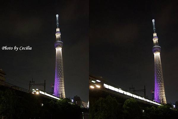 TOKYO SKY TREE 夜  (14)