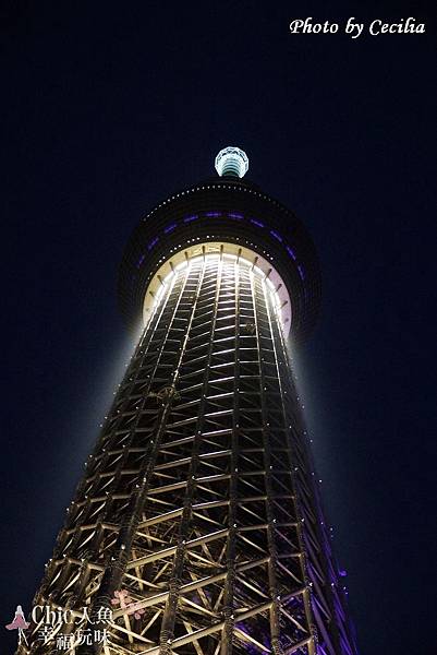 Tokyo Sky Tree東京晴空塔 (9)