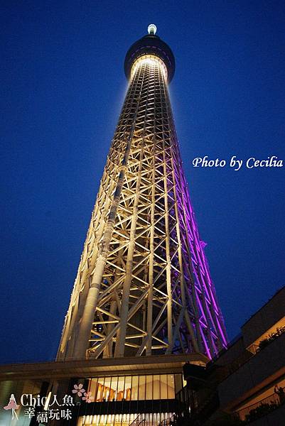 Tokyo Sky Tree東京晴空塔 (33)