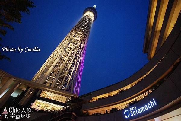 Tokyo Sky Tree東京晴空塔 (37)