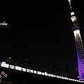 TOKYO SKY TREE 夜  (3)