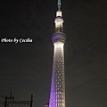 TOKYO SKY TREE 夜  (4)