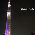 TOKYO SKY TREE 夜  (5)