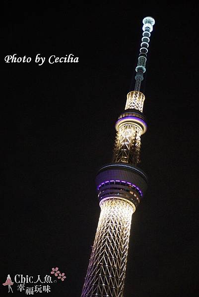 TOKYO SKY TREE 夜  (7)