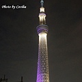 TOKYO SKY TREE 夜  (8)