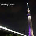 TOKYO SKY TREE 夜  (11)