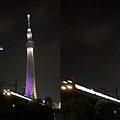 TOKYO SKY TREE 夜  (14)