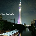 TOKYO SKY TREE 夜  (16)