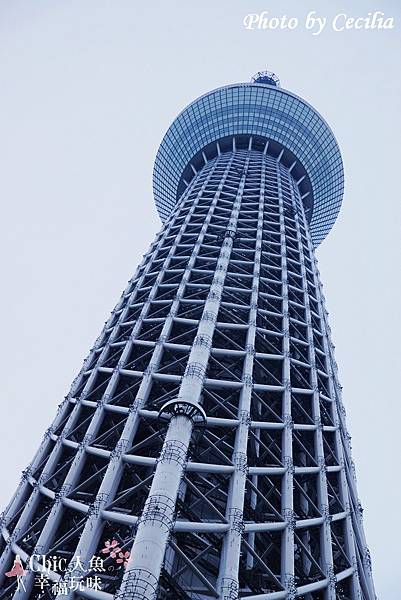 Tokyo Sky Tree東京晴空塔 (8)